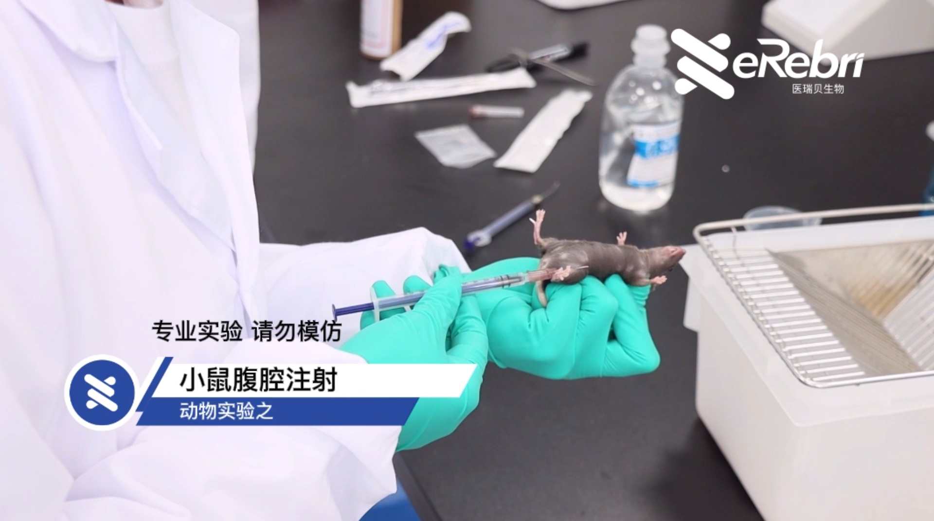 动物实验-小鼠腹腔注射